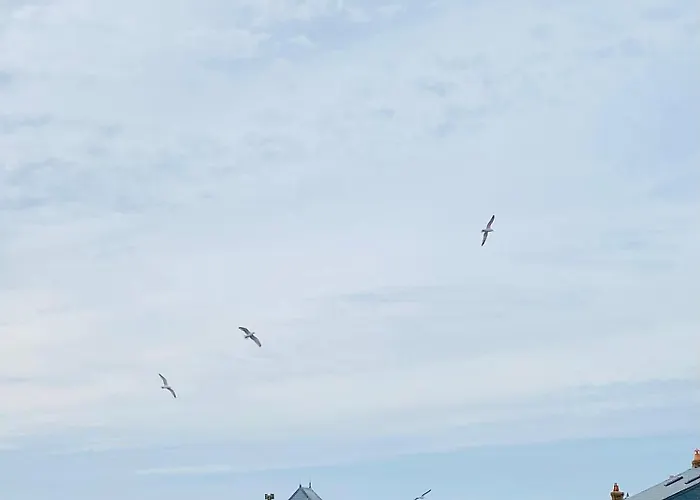 Lou & Moi A 50m De La Apartment Cayeux-sur-Mer